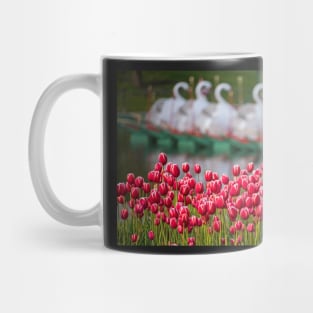 Boston Public Garden Spring Tulips and Swan Boats Mug